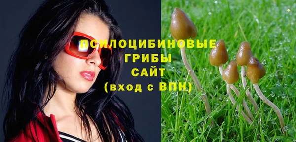 ECSTASY Арсеньев