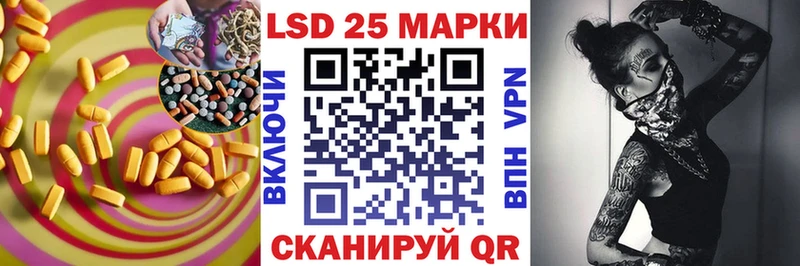 дарнет шоп  Полесск  ЛСД экстази кислота 
